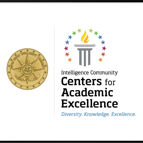 ic cae logo