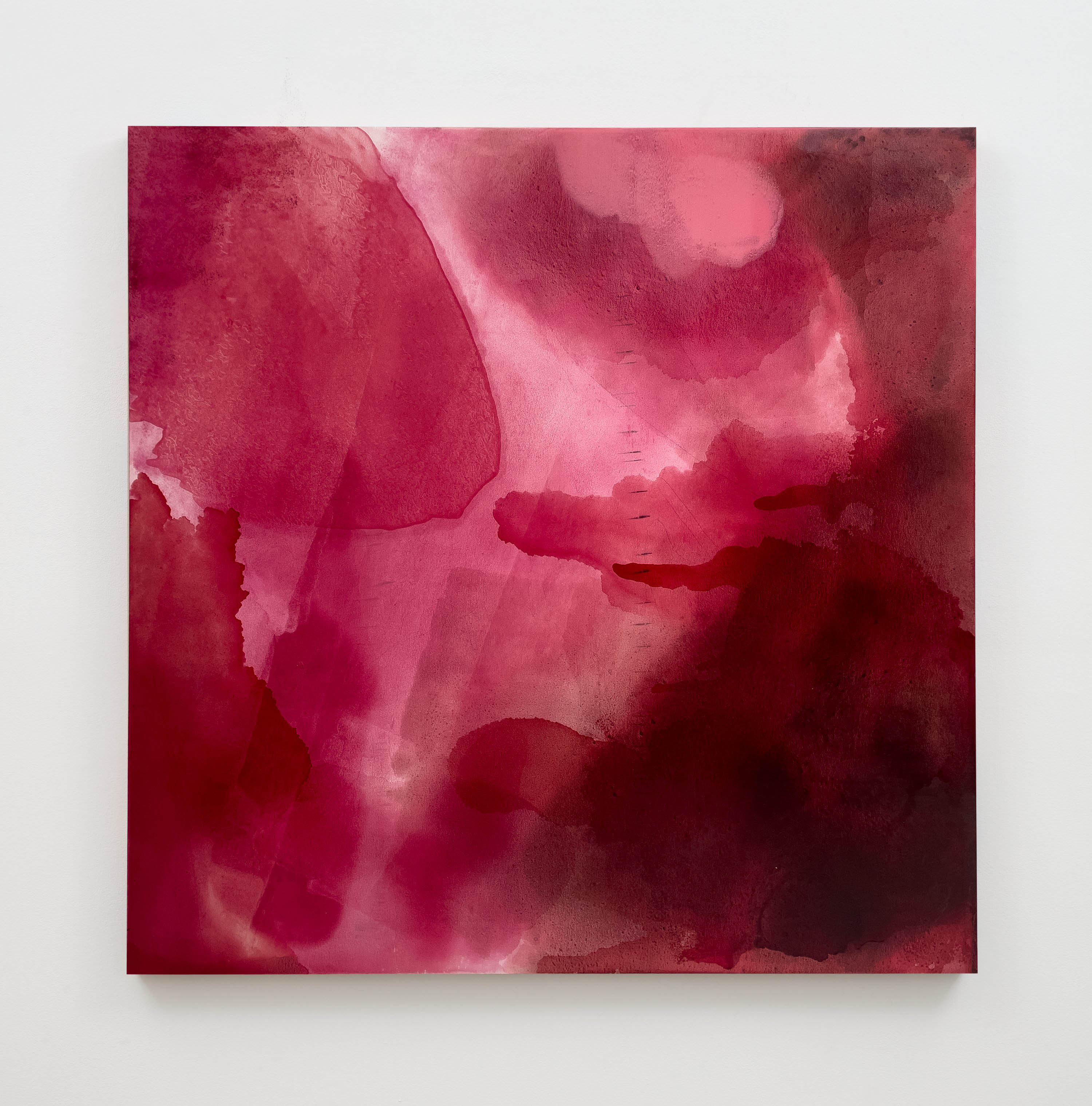 Amanda Williams Art